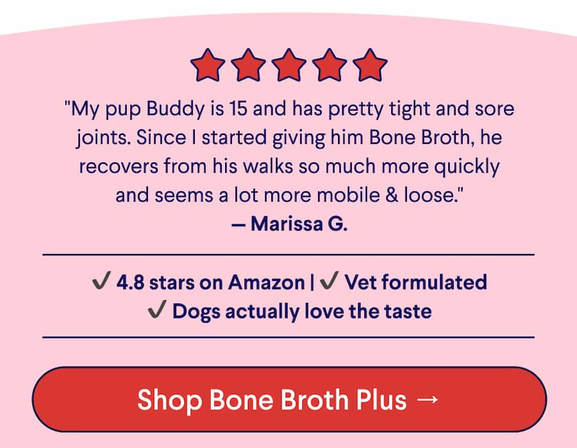 5-Star Customer Review: "My pup Buddy is 15 and has pretty tight and sore joints. Since I started giving him Bone Broth, he recovers from his walks so much more quickly and seems a lot more mobile & loose." — Marissa G. &nbsp; ✔ 4.8 stars on Amazon | ✔ Vet formulated ✔ Dogs actually love the taste CTA: Shop Bone Broth Plus →