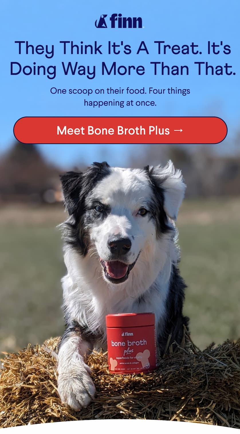 Finn Logo. Text: They think it's a treat. It's doing way more than that. One scoop on their food. Four things happening at once. CTA: Meet Bone Broth Plus →