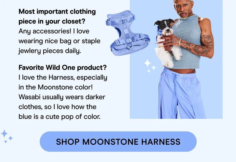 Moonstone Harness