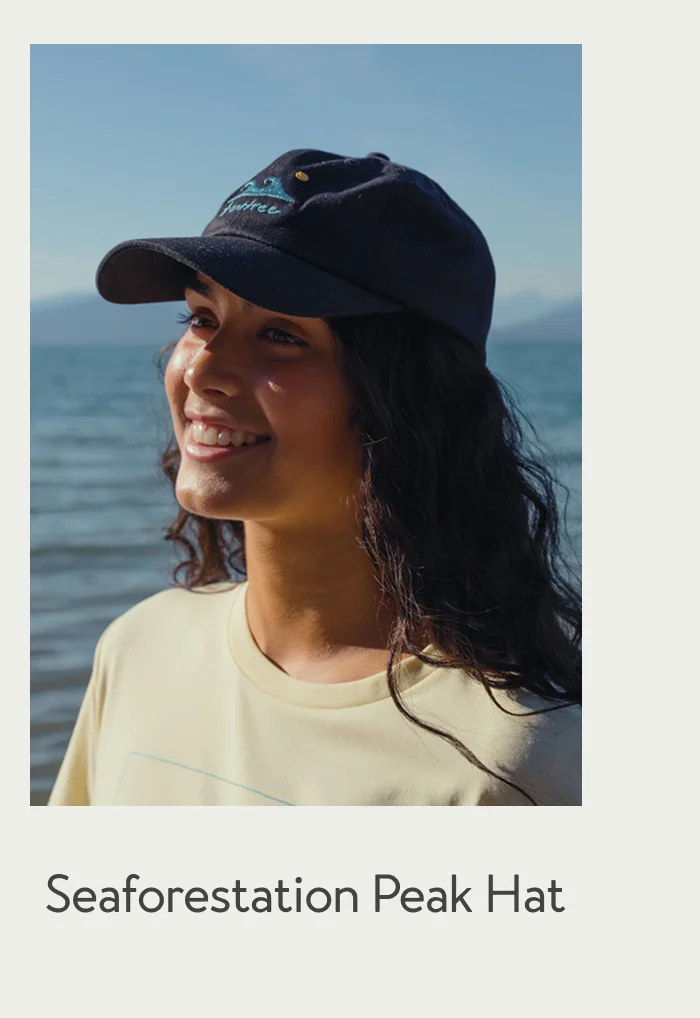 Seaforestation Peak Hat