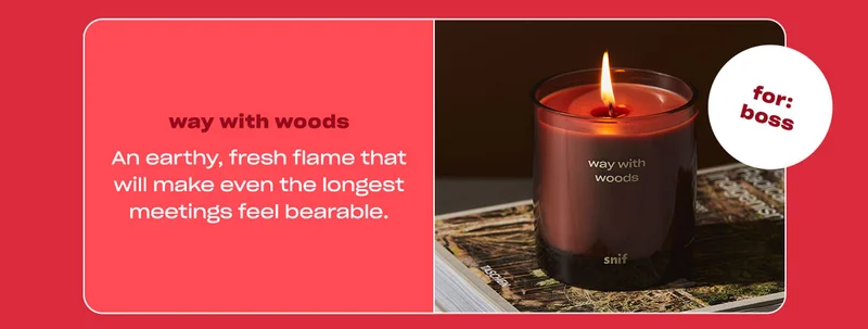 Get 30% off with code SNIF30 ↗