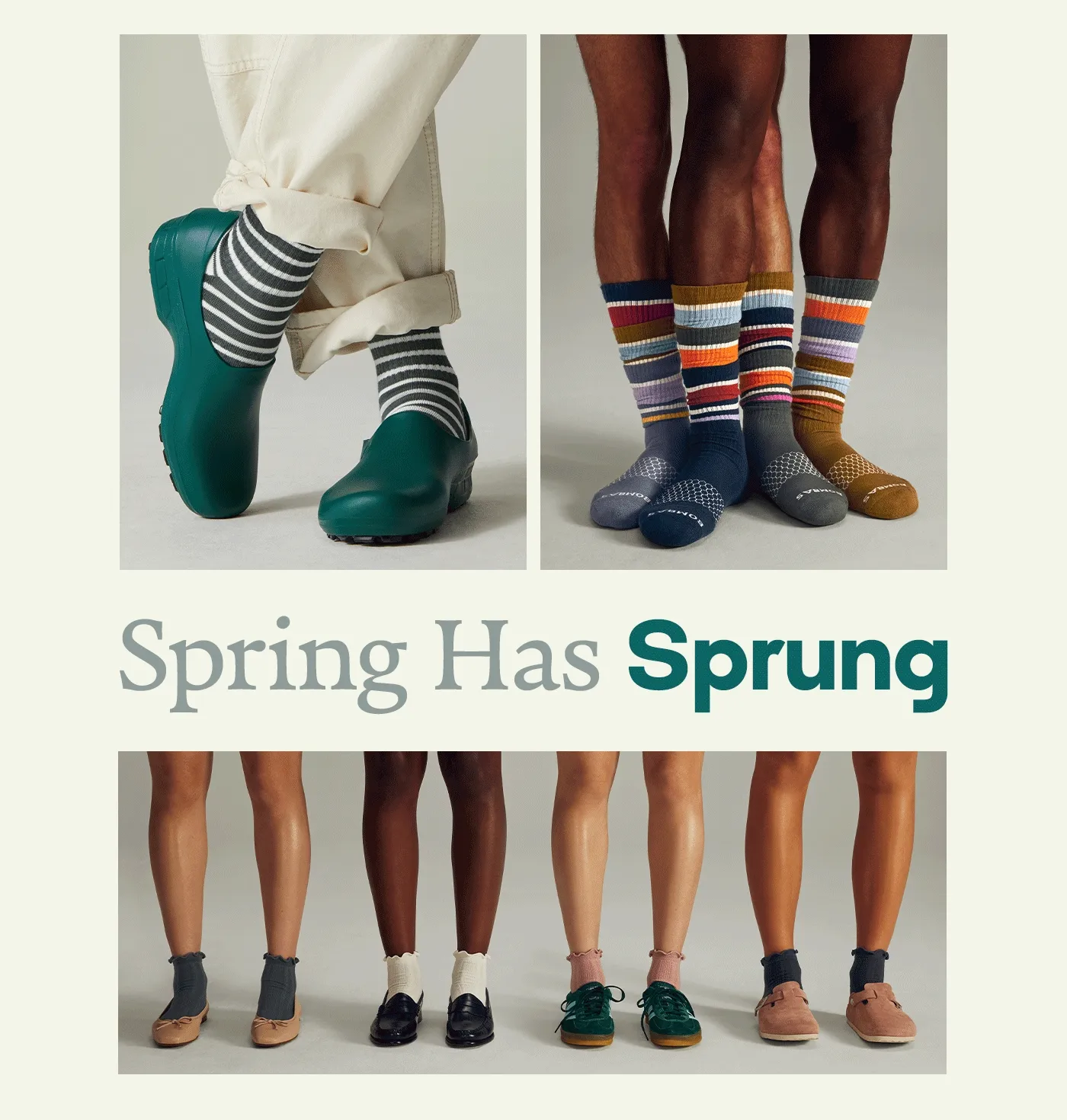 Spring Has Sprung