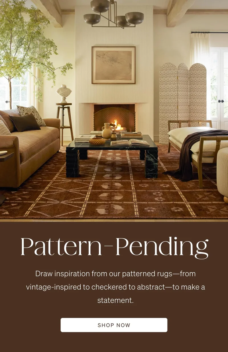 Shop Patterned Rugs