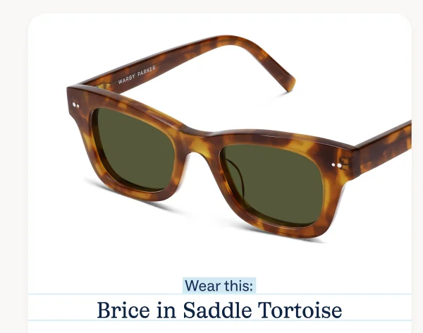 Brice Brice