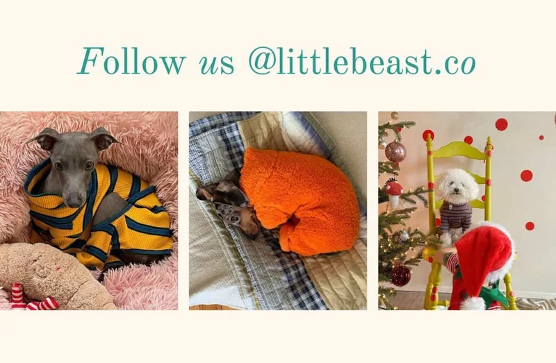Follow us on Instagram