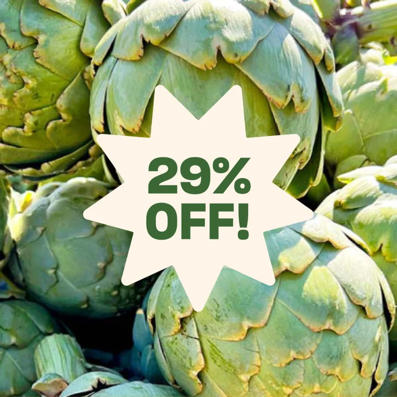 Jumbo Artichokes