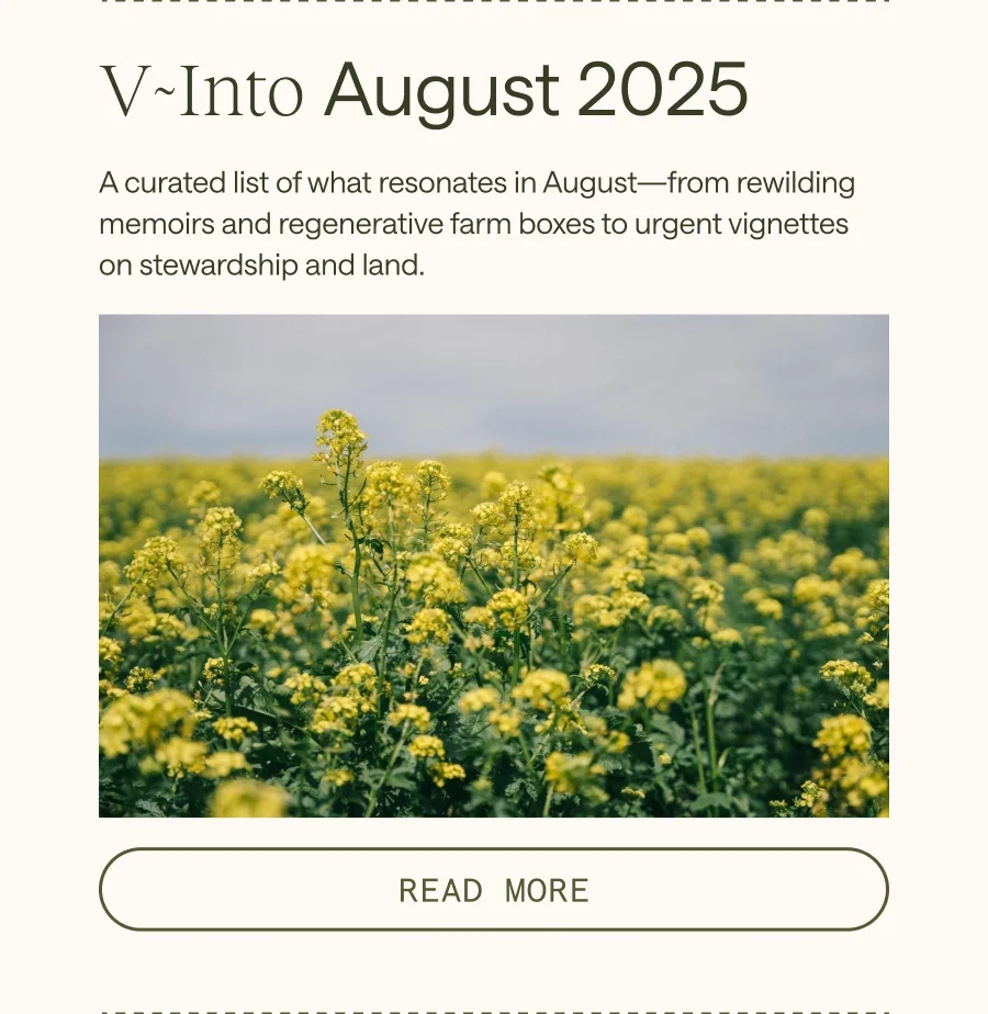 V Into August 2025