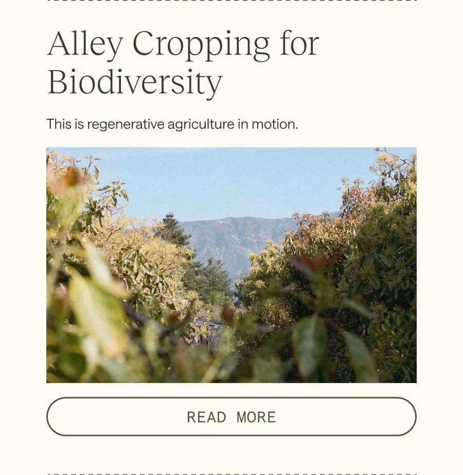 Alley Cropping For Biodiversity