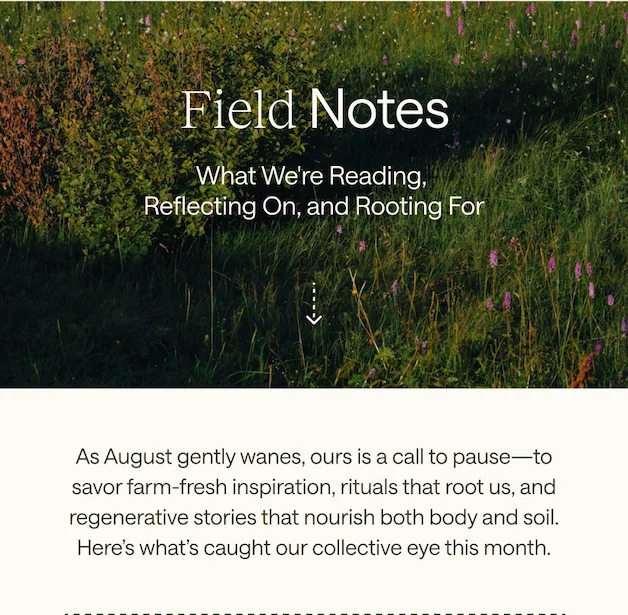 Field Notes