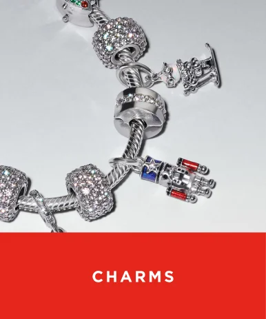 Shop Charms