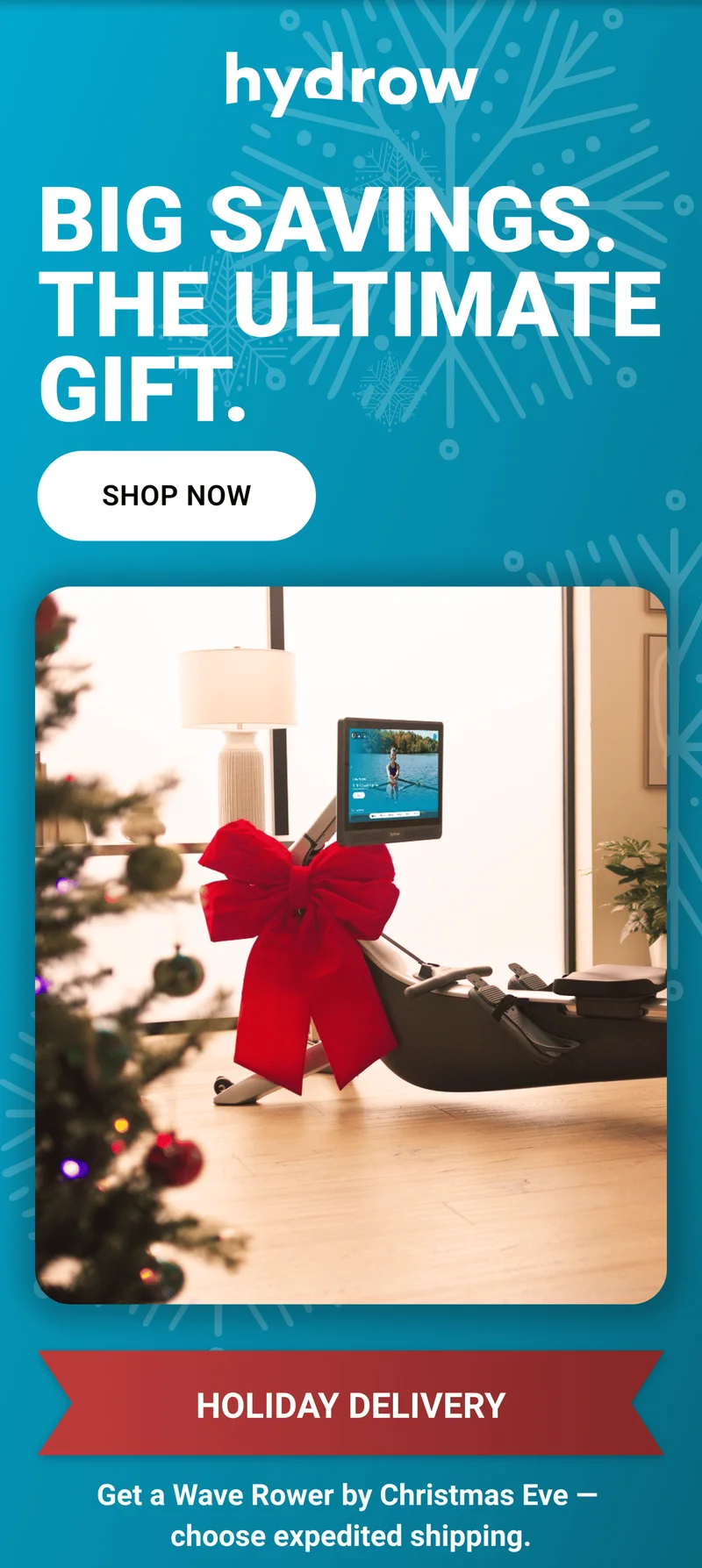 Big savings. The ultimate gift. Shop Now. Holiday delivery. Get a Wave Rower by Christmas Eve - choose expedited shipping.