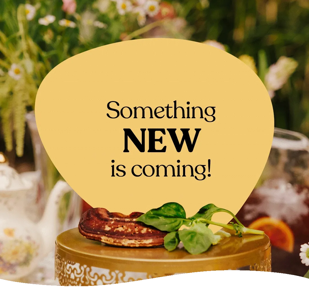 Something NEW/INDULGENT/BLISSFUL is coming!