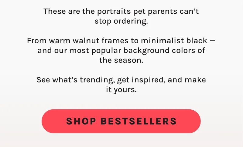 Shop Bestsellers