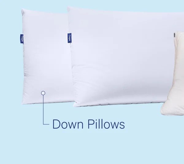 Down Pillows