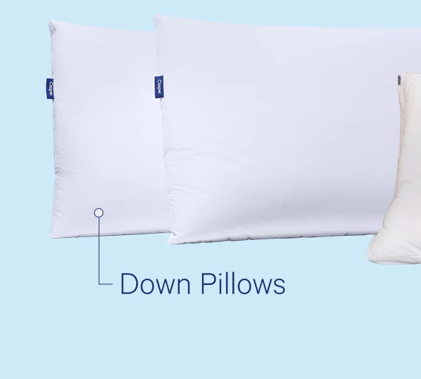 Down Pillows