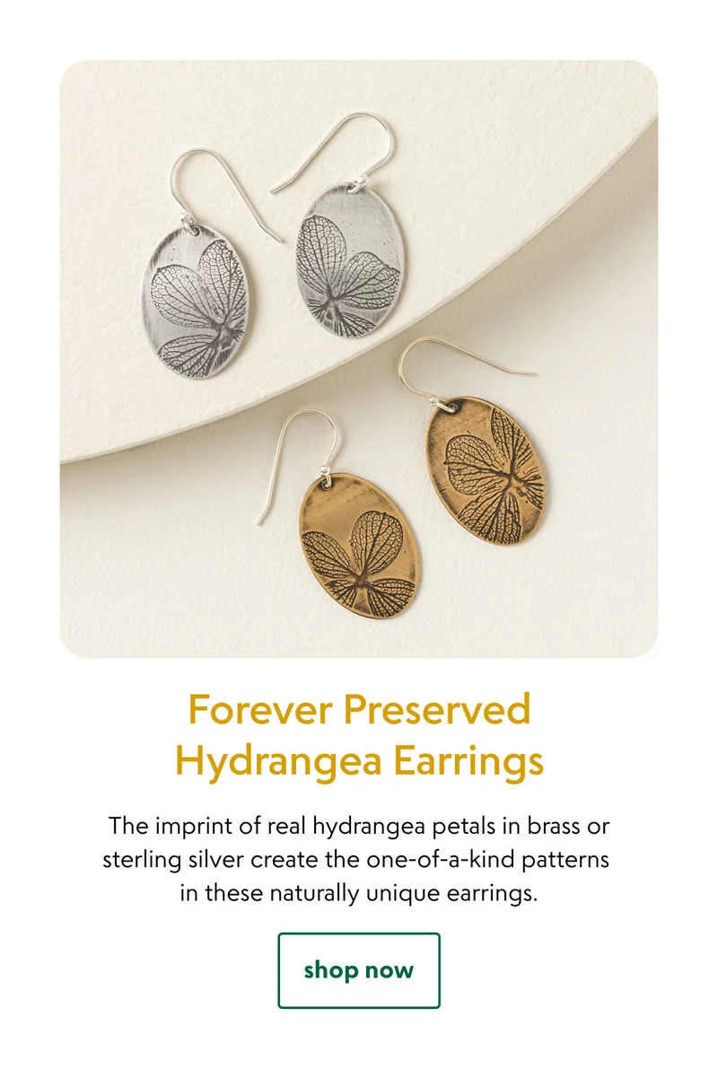 forever-preserved-hydrangea-earrings