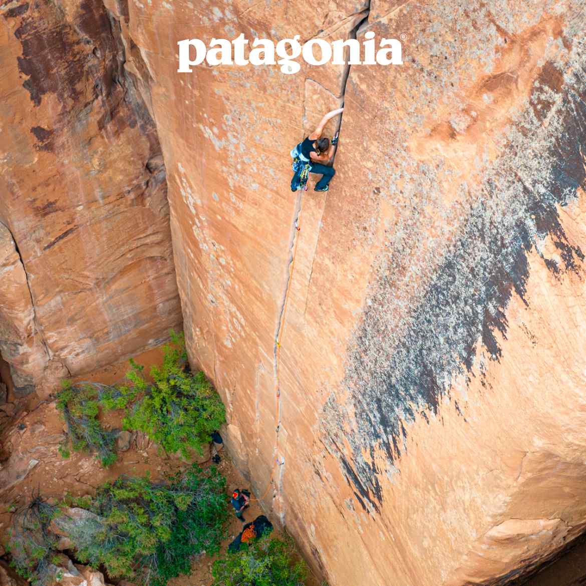 Patagonia
