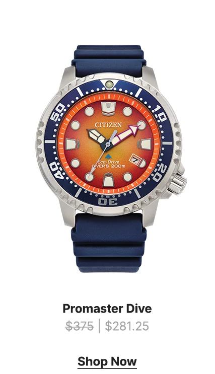 Promaster Dive$375 | $281.25 Shop Now