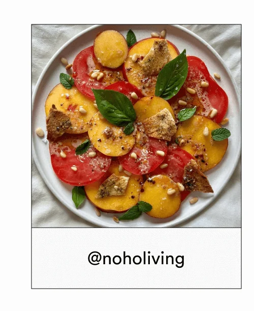 @noholiving