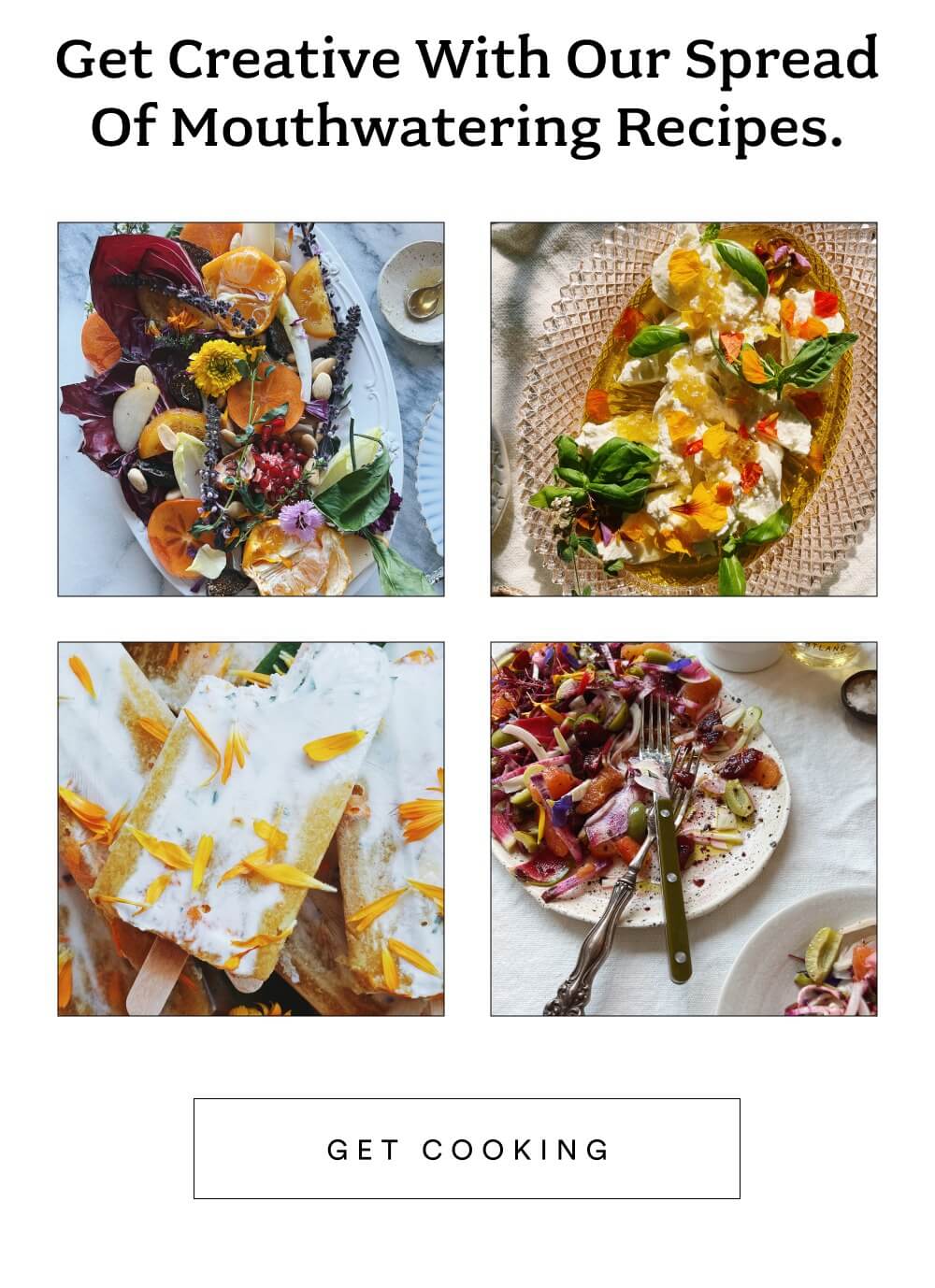 Explore our cold-pressed extra virgin olive oils, infused olive oils, fruit-forward vinegars, and floral honey.  [ SHOP BRIGHTLAND ]