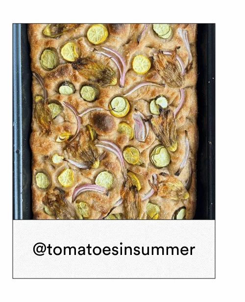 @tomatoesinsummer