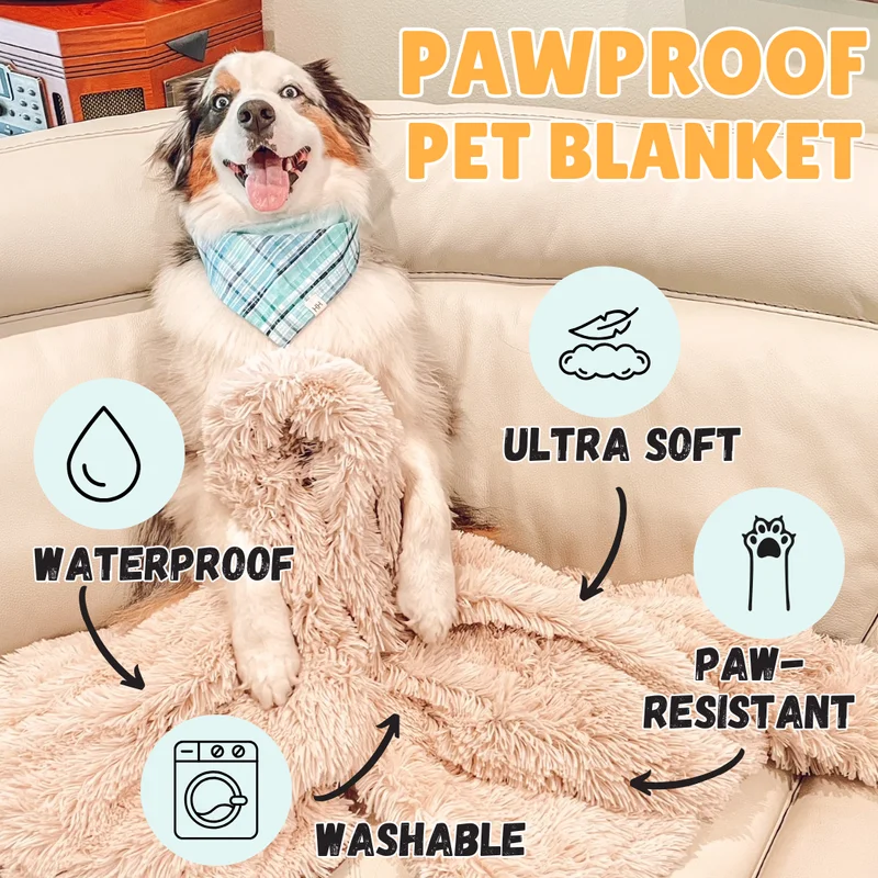 PawProof