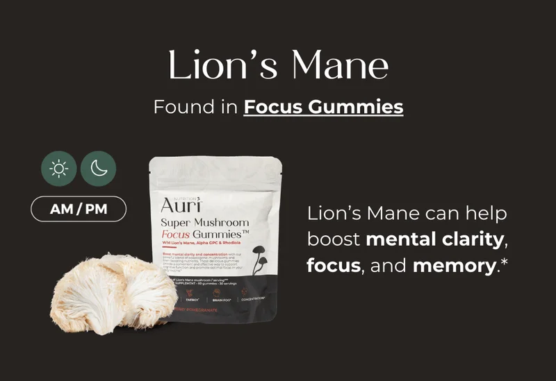Lion's Mane