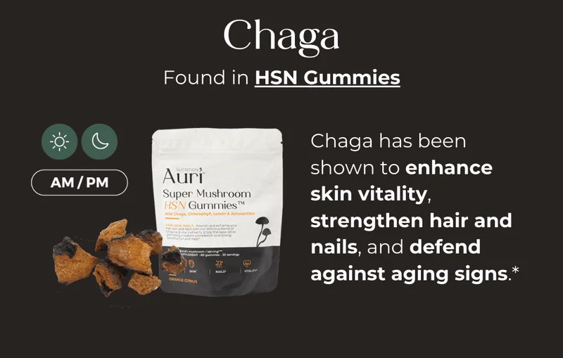Chaga