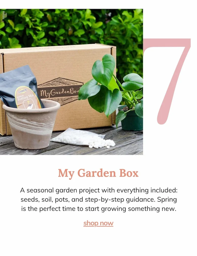 MY GARDEN BOX