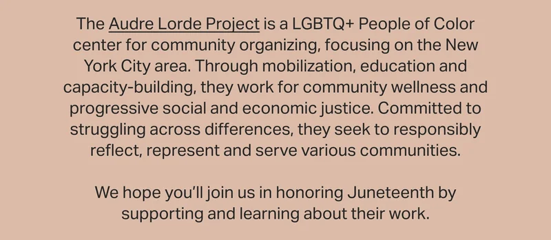 The&nbsp;Audre Lorde Project&nbsp;is a LGBTQ+ People of Color center for community organizing, focusing on the New York City area.