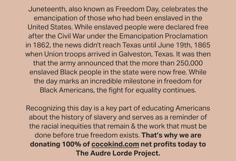 In honor of Juneteenth, we are donating 100% of today’s online net profits to The Audre Lorde Project.
