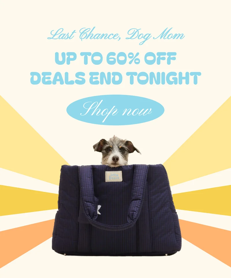 Last Chance, Dog Mom