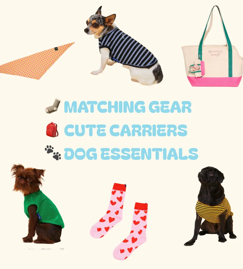Matching gear, Cute carriers, Dog essentials