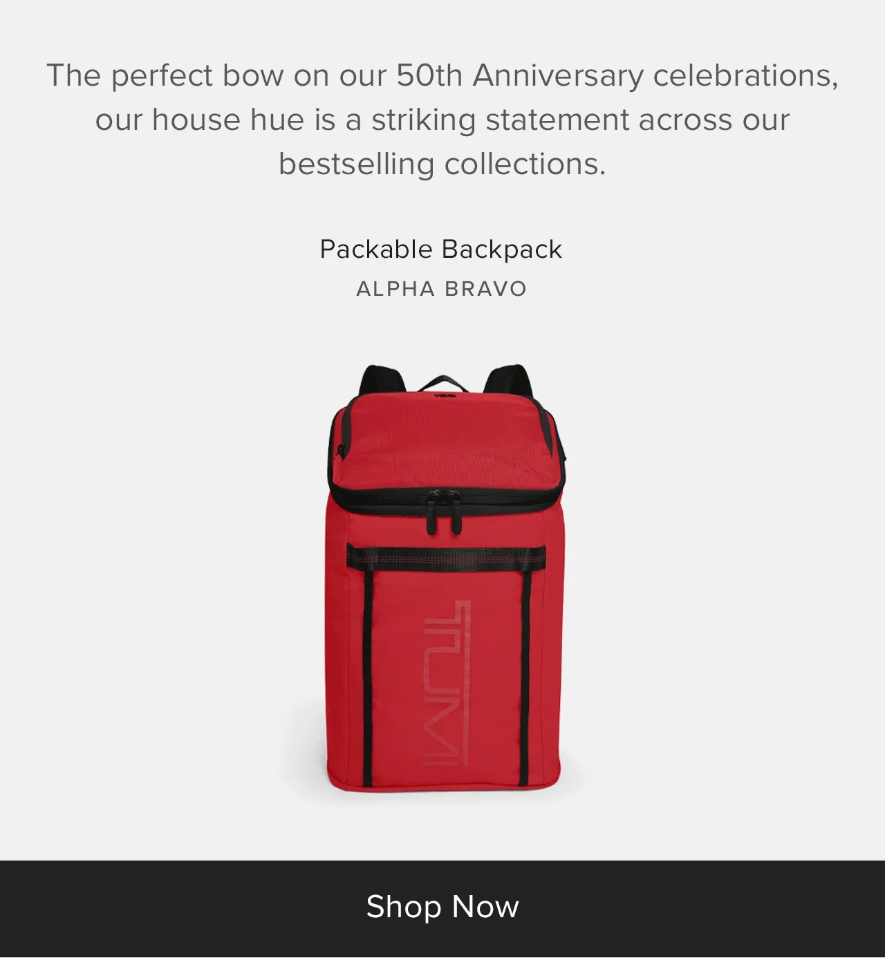 Alpha Bravo - Packable Backpack