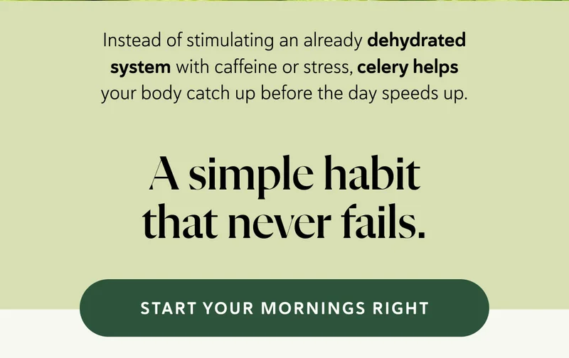 Instead of stimulating an already dehydrated system with caffeine or stress, celery helps your body catch up before the day speeds up. A simple habit that never fails.
