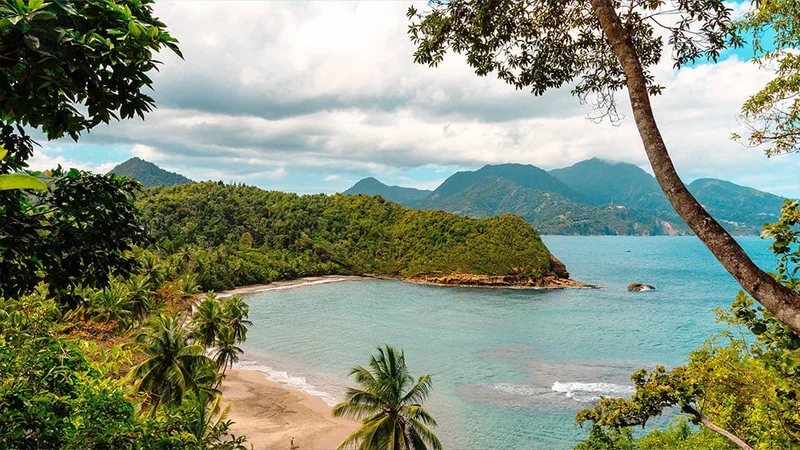 Image description: Batibou Beach in Dominica.