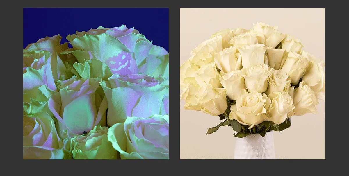 Image of Glow-in-the-Dark Roses Bouq