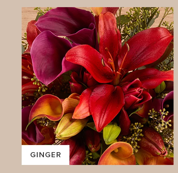 Image of Ginger Bouq