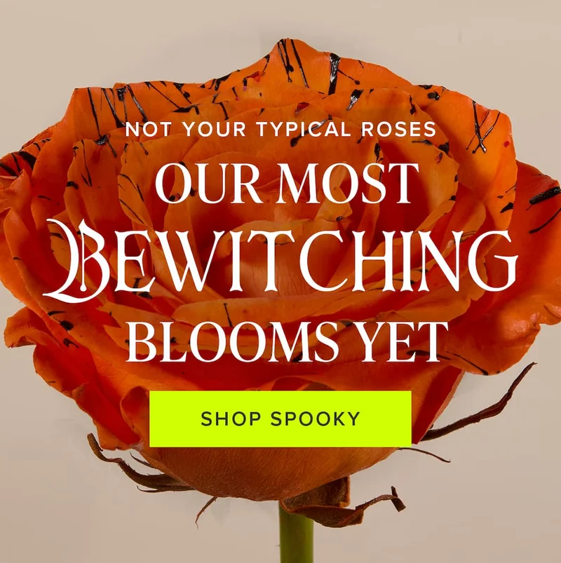 Not Your Typical Roses. Our Most Bewitching Blooms Yet. Shop Spooky
