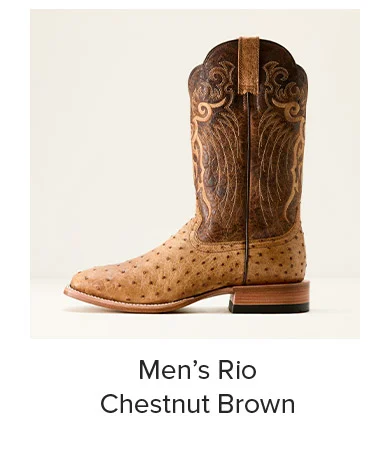 Men’s Rio Chestnut Brown
