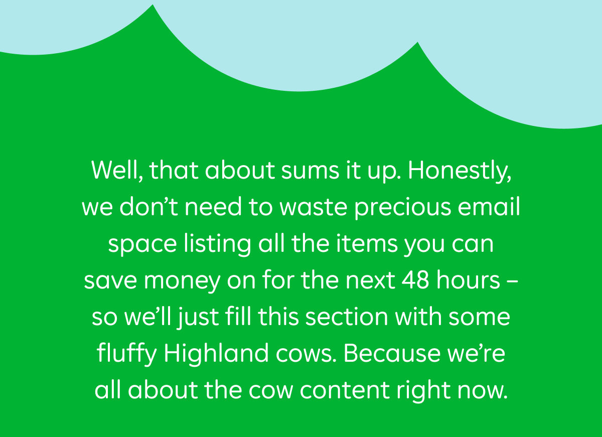Well, that about sums it up. Honestly, we don’t need to waste precious email space listing all the items you can save money on for the next 48 hours – so we’ll just fill this section with some fluffy Highland cows. Because we’re all about the cow content right now.