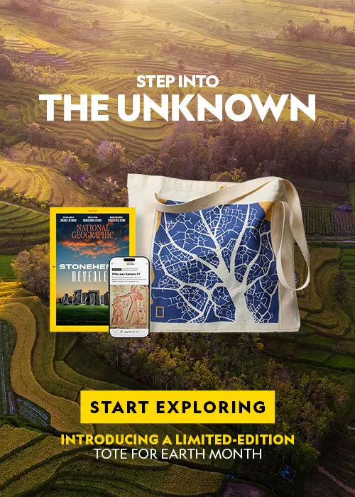 A promotional image for a limited-edition tote bag with a National Geographic magazine and a smartphone.
