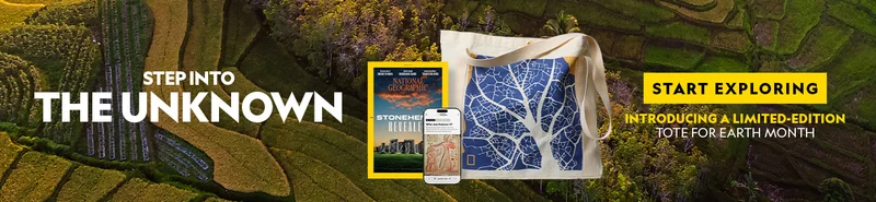 A promotional banner for National Geographic featuring a tote bag, magazine, and phone.