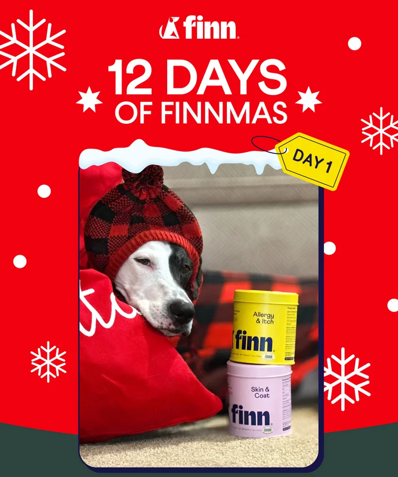 12 Days of Finnmas | Day 1: Buy one supplement or topper, get one 50% off!