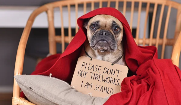 keep your pet safe