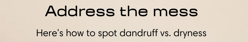 Address the mess Here's how to spot dandruff vs. dryness