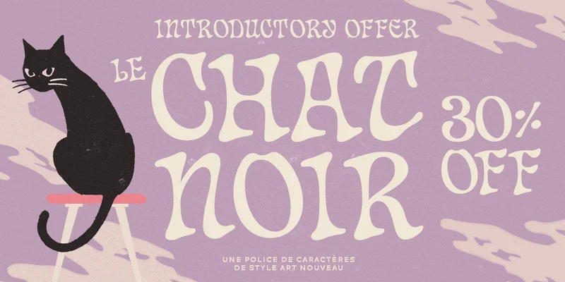Chat Noir