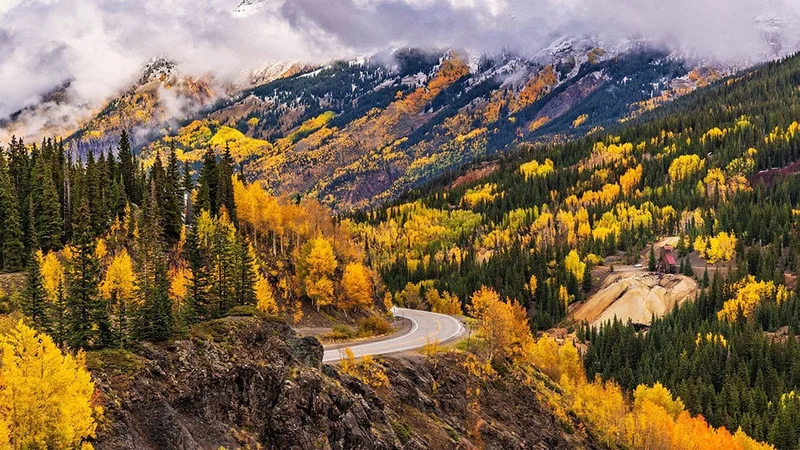 Image description: Fall foliage along the Million Dollar Highway in Colorado