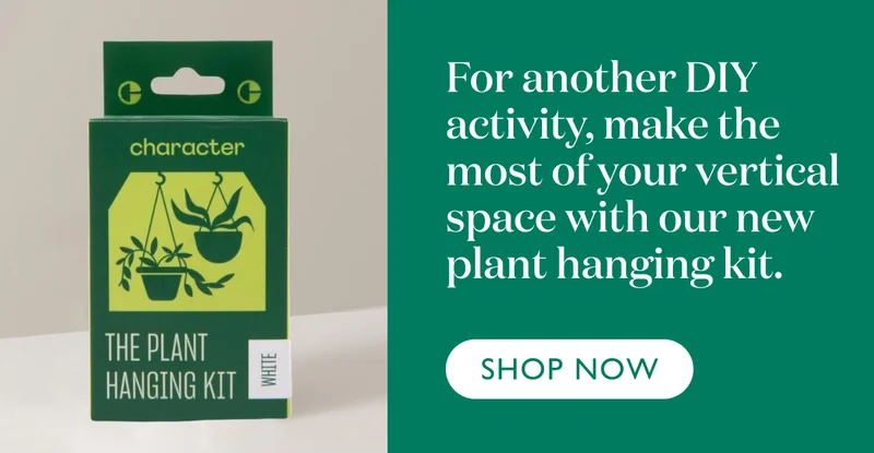 For another fun activity, make the most of your vertical space with our new plant hanging kit.