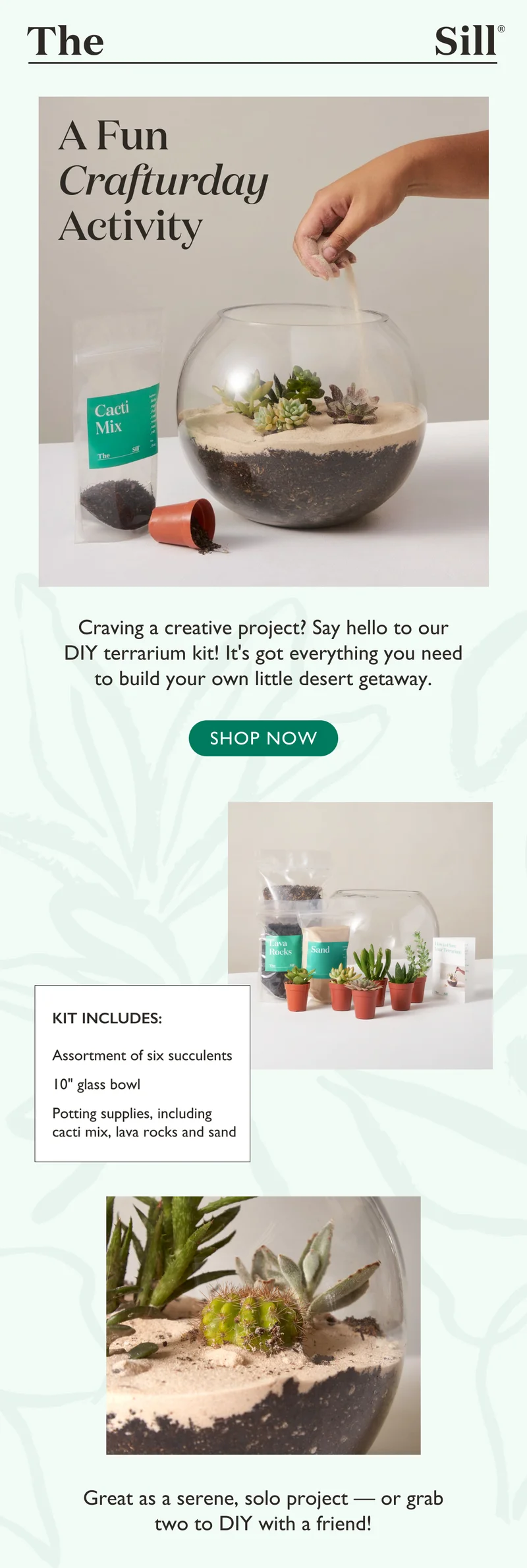Craving a creative project? Say hello to our DIY terrarium kit! It's got everything you need to build your own little desert getaway.